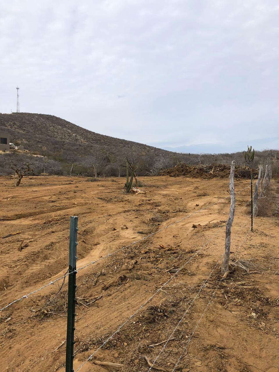 Cerritos Lot 994, - Photo 1