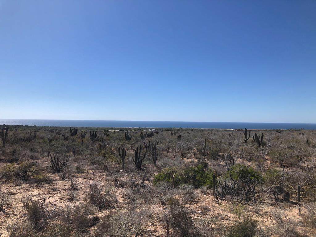S/N Las Playitas Road - Photo 1