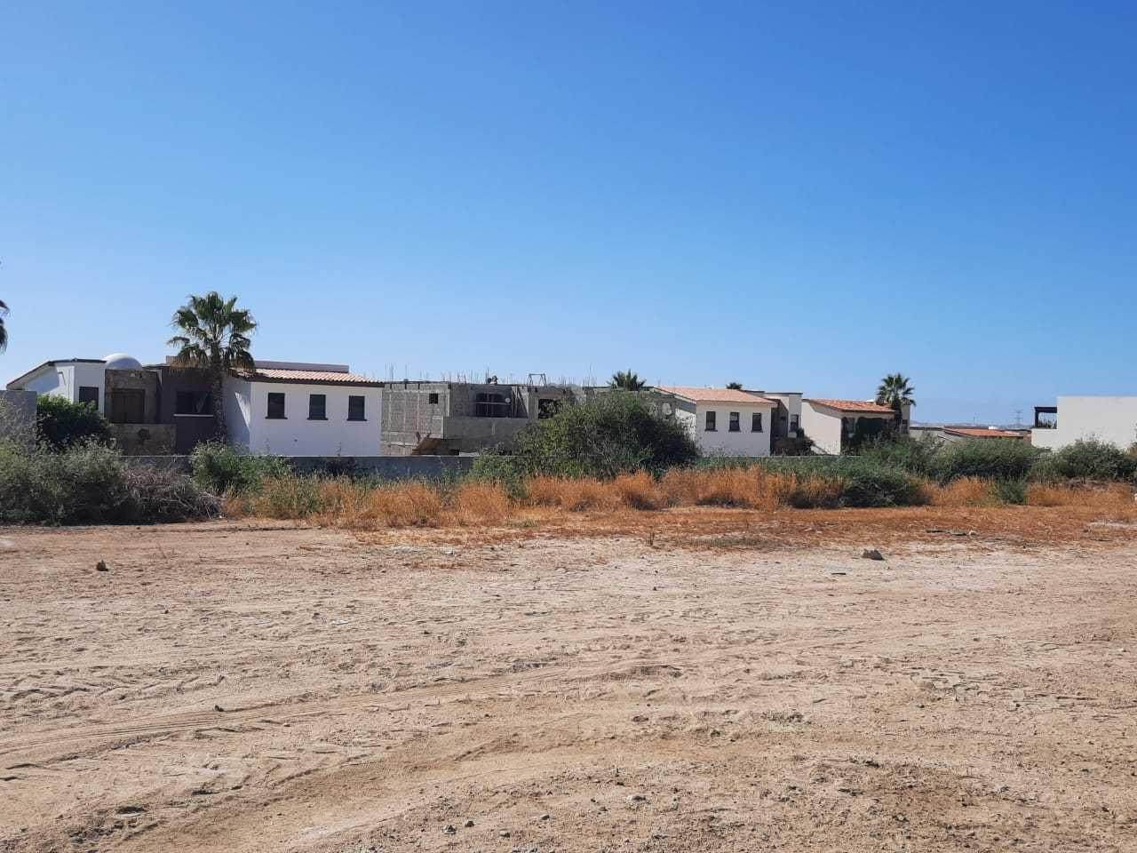 41 Pitaya - Photo 1