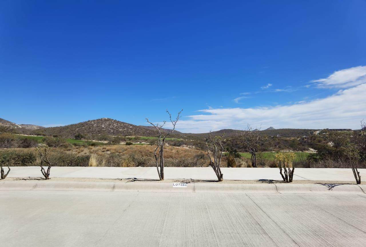 61 Altillo - Photo 1