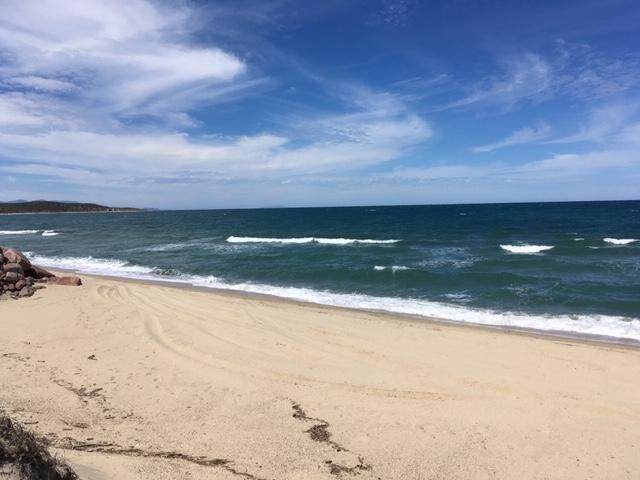 A5 Ave Playa Feliz - Photo 1