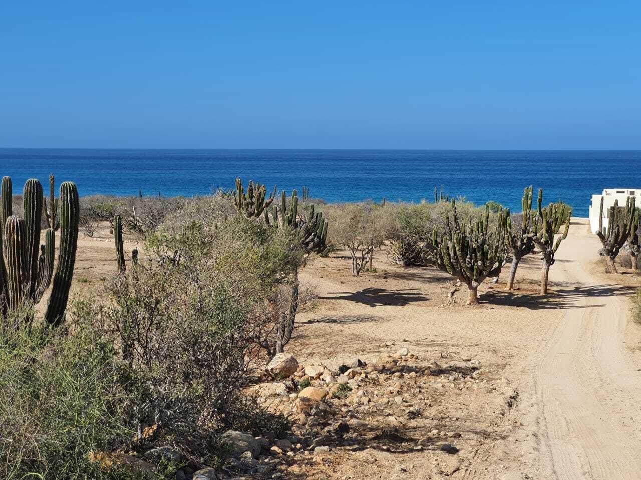Abel's Beach Properties South - Photo 1