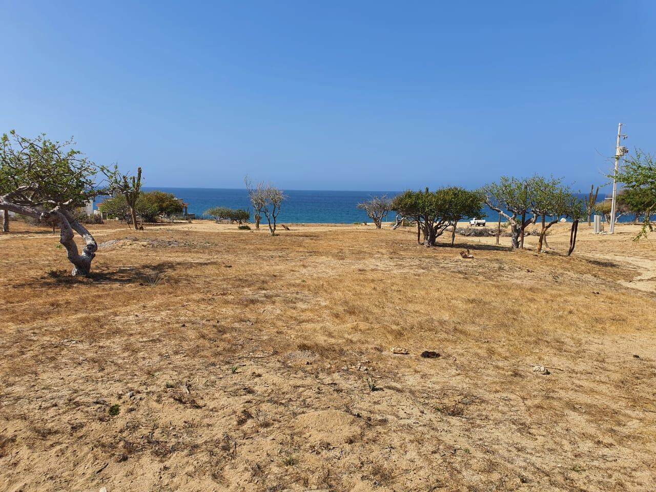 Abel's Beach Properties North - Photo 1