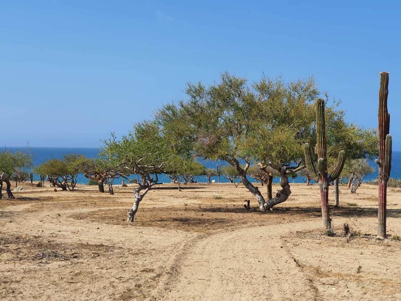 Abel's Beach Properties North - Photo 1