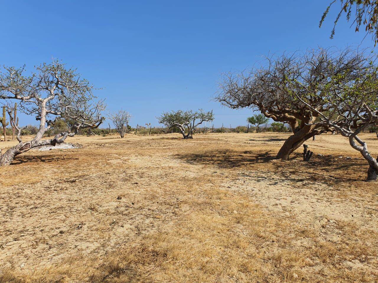 Abel's Beach Properties North - Photo 1