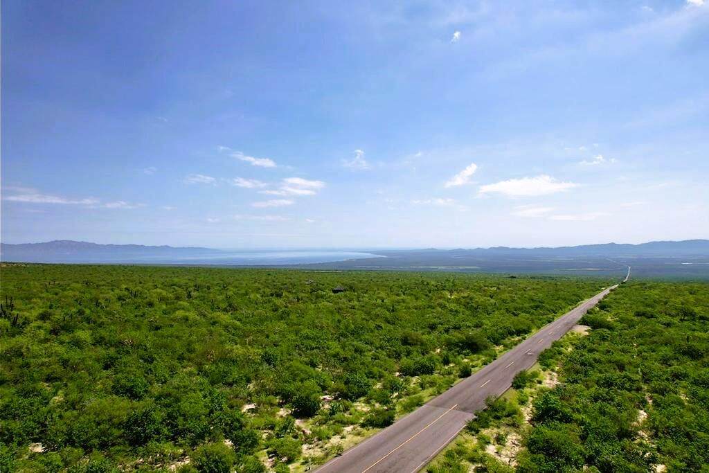 Carretera La Paz-Los Planes - Photo 1