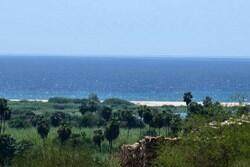 Calzada Margarita - Photo 1