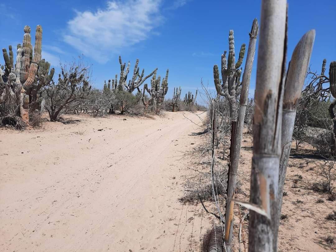 km 36 Carr. Al Nte - Photo 1