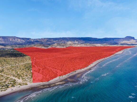  Development Land - Photo 1