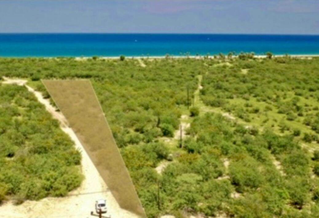  Eureka Street La Capilla - Photo 1