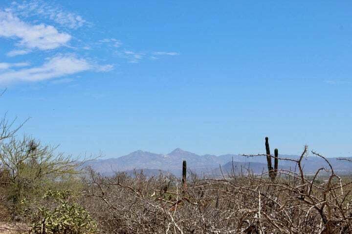  Calle Seis - Photo 1