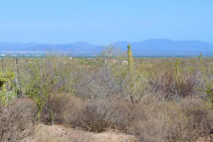  Calle Seis - Photo 1