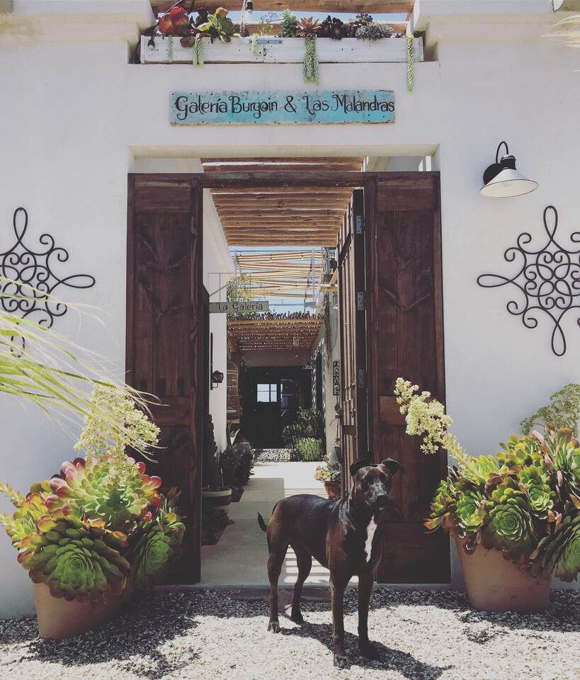 sn Pto. Loreto E/ Paseo Costero - Photo 1