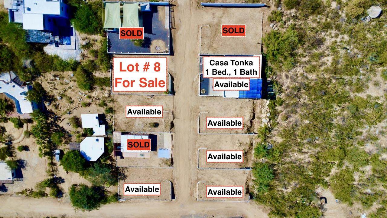  Buena Vista Bcs - Photo 1