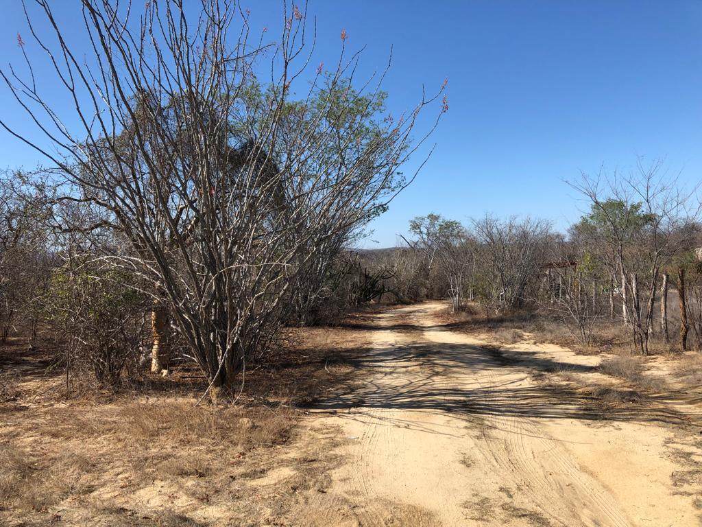 campamento Lote 15 Campamento - Photo 1