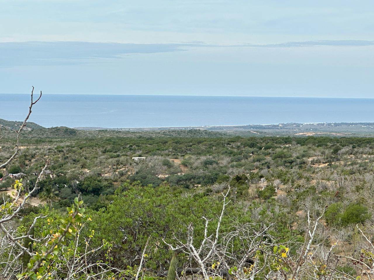  Lot 40 Matancitas - Photo 1
