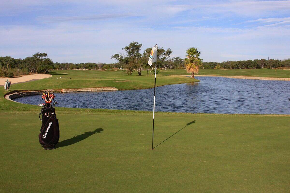 558 Palo Blanco - Photo 1