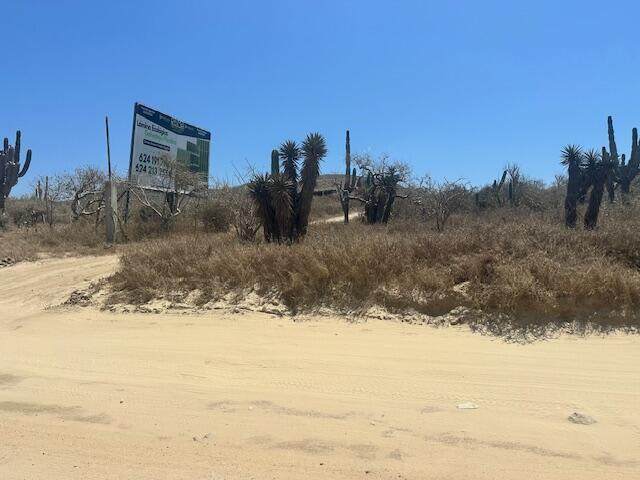  Sauspedes (Main Access Road) - Photo 1