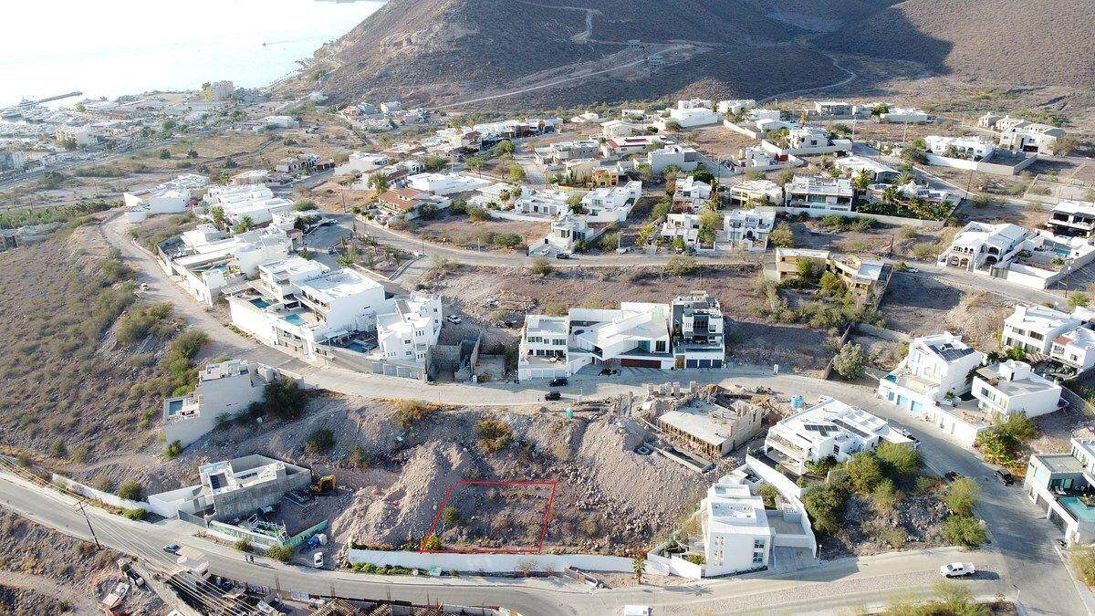  Palmira - Photo 1