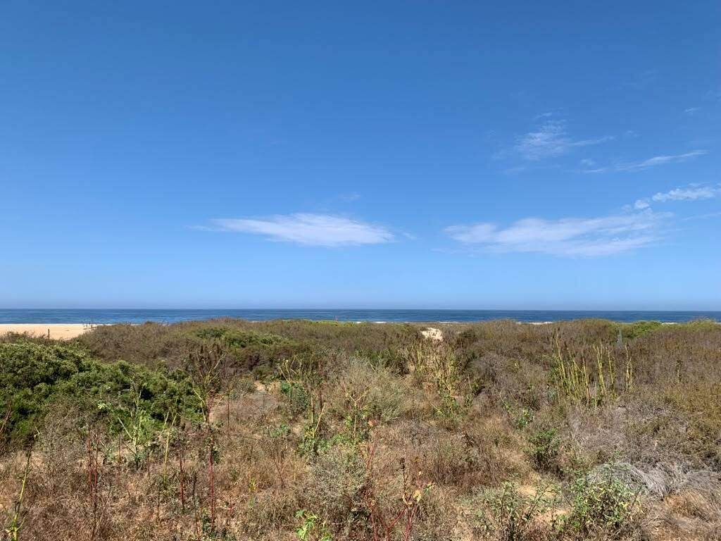 Lot 0793 Beachfront - Photo 1