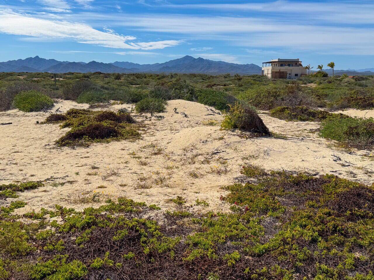  Ave Playa Feliz - Photo 1