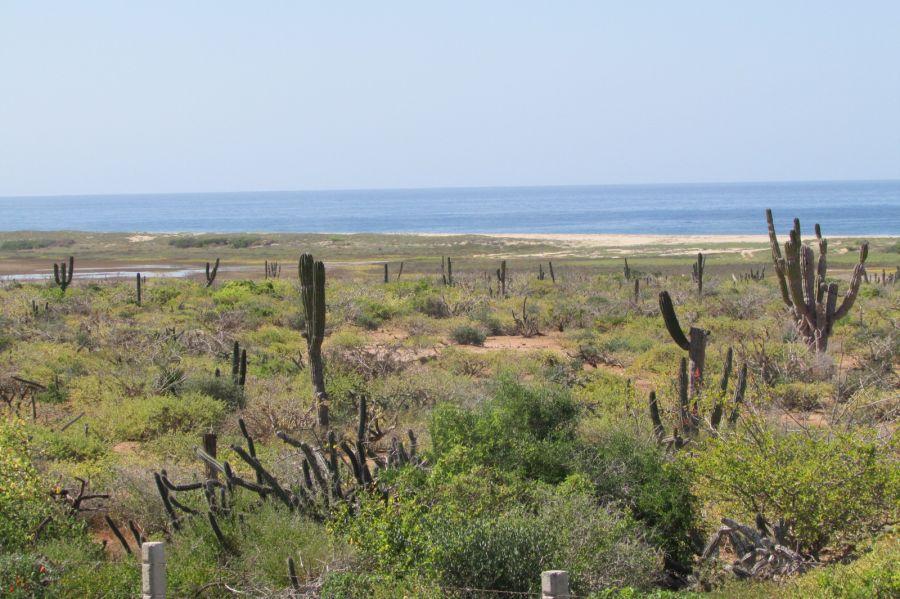 Salitral Hwy Frontage, - Photo 1