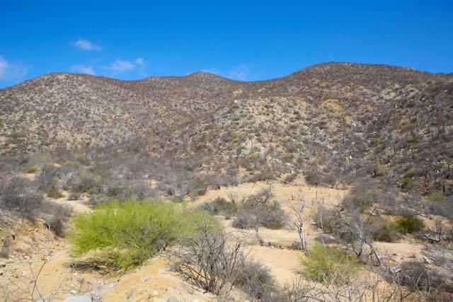 Canyon Silencio - Photo 1