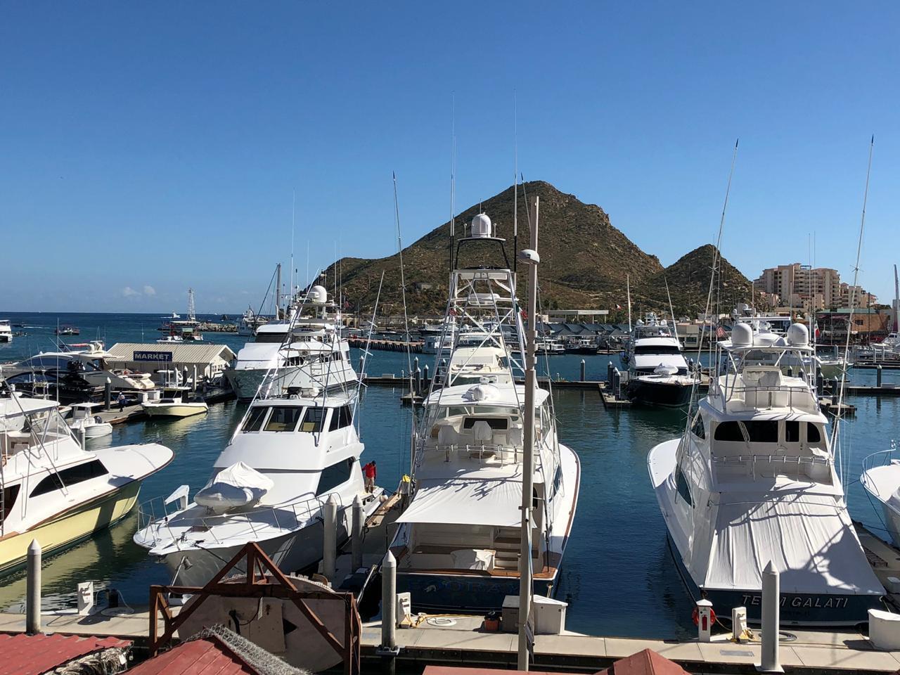 1 Marina - Photo 1