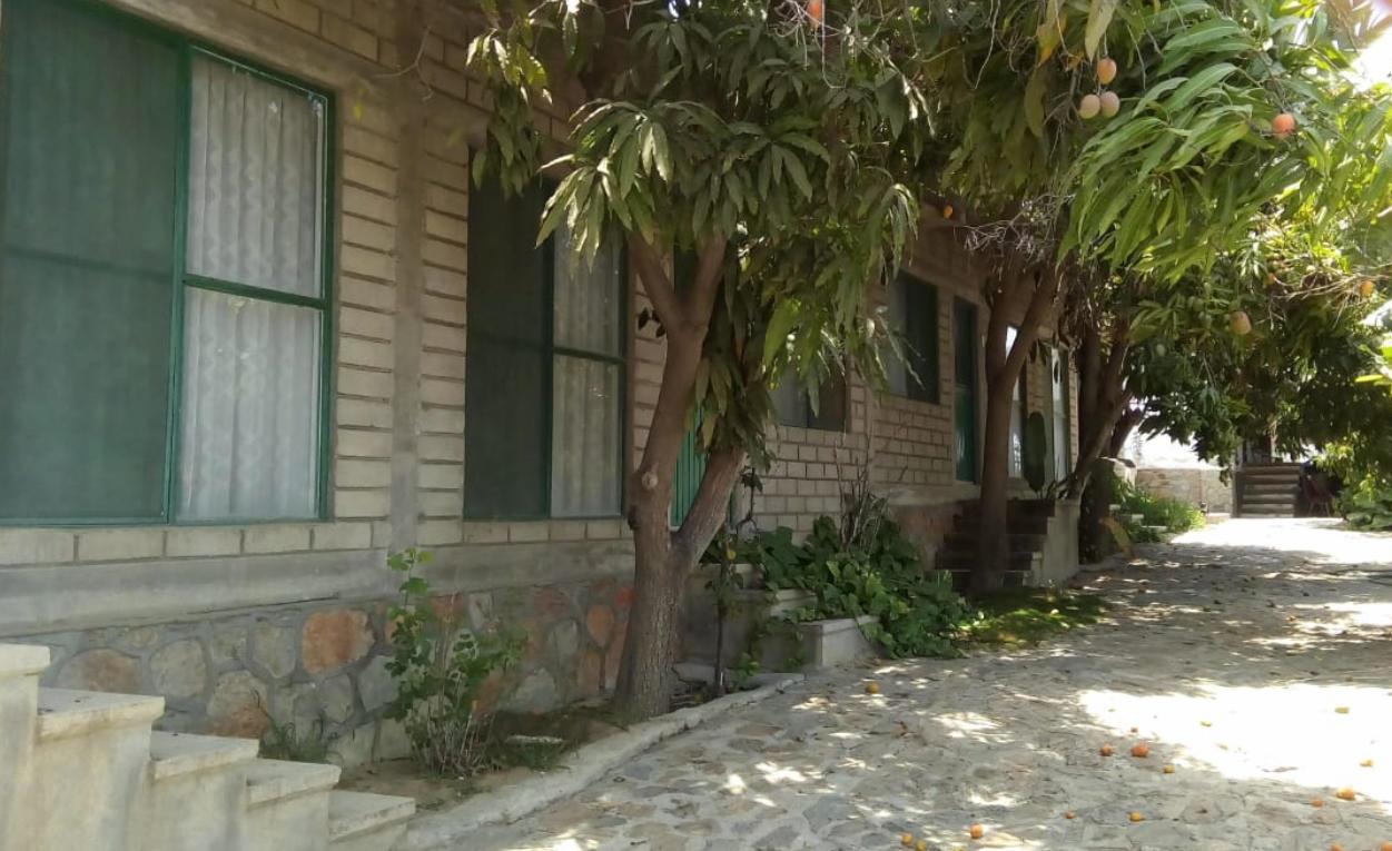 Pescadero - Photo 1