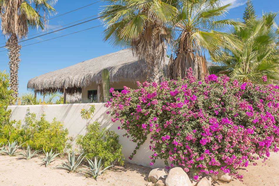 Casa Buenaventura Todos Santos - Photo 1