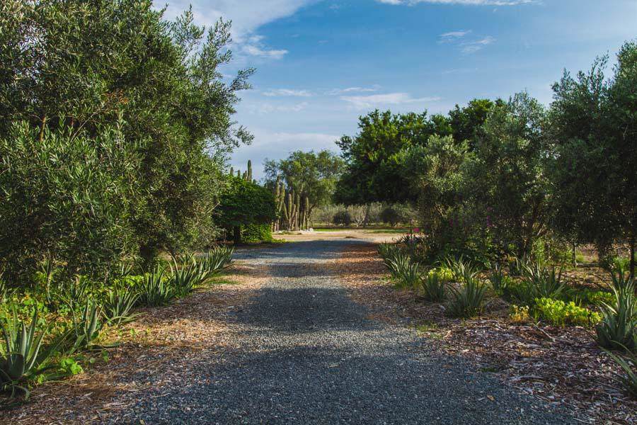 Las Playitas Road - Photo 1