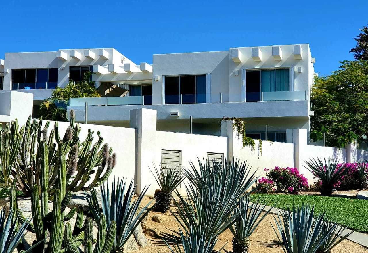 Agaves 1 - Photo 1
