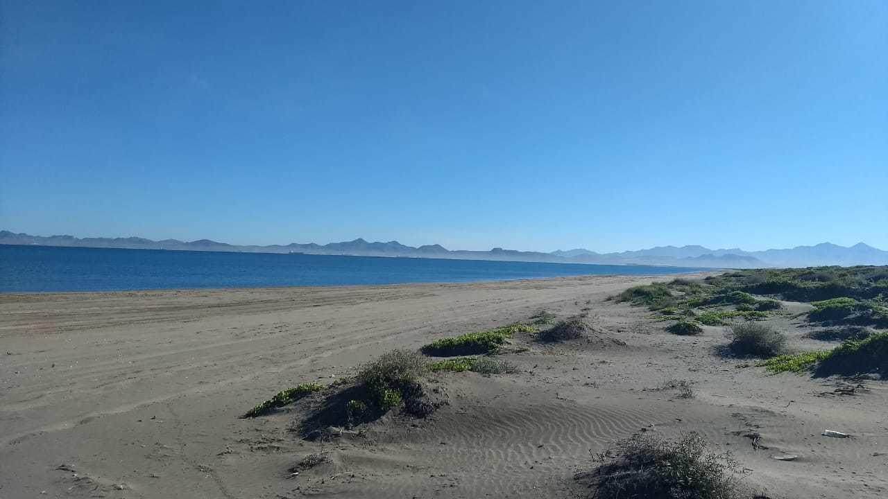 Lote 39 Hwy La Paz-Sn.Juan De La Costa - Photo 1