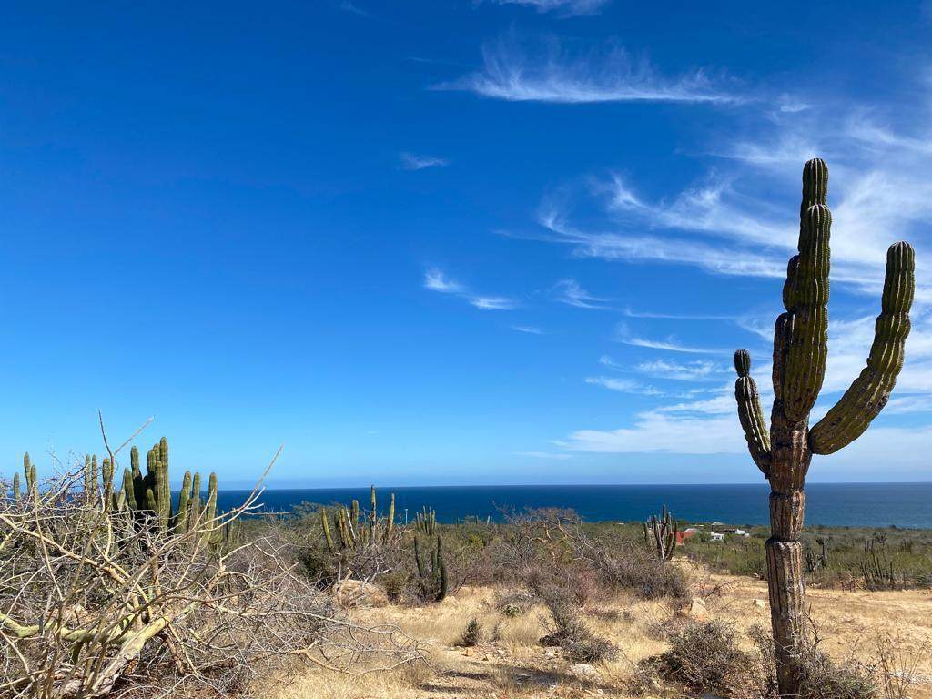 North Of El Cardonal - Photo 1