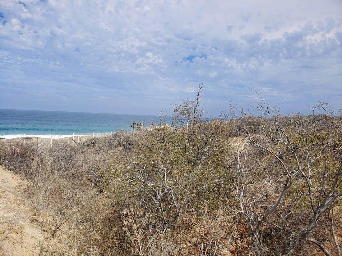 91 East Cape - Photo 1