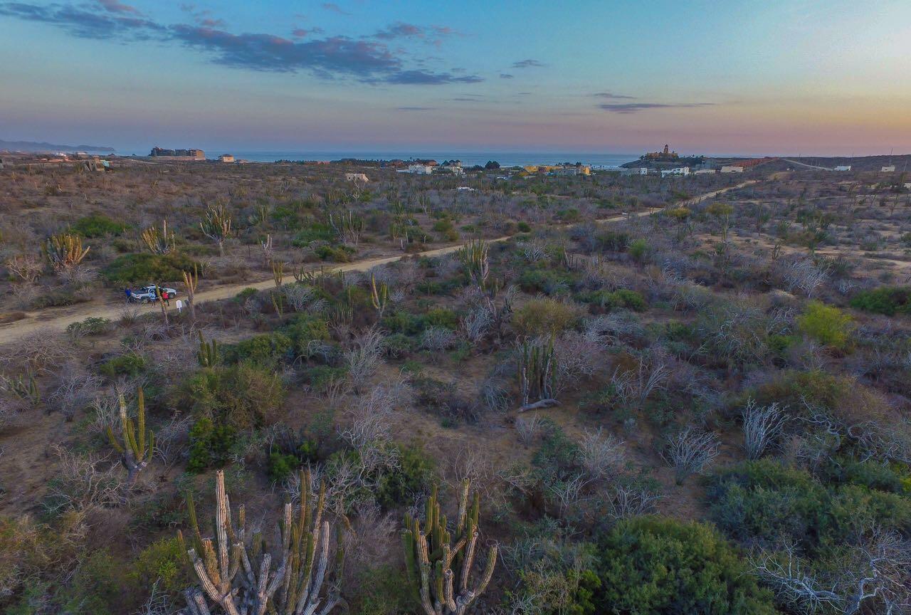 Lot Cerritos 1864 - Photo 1