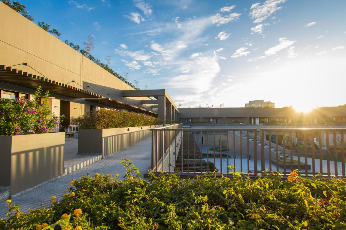 1501 Av. Lazaro Cardenas - Photo 1
