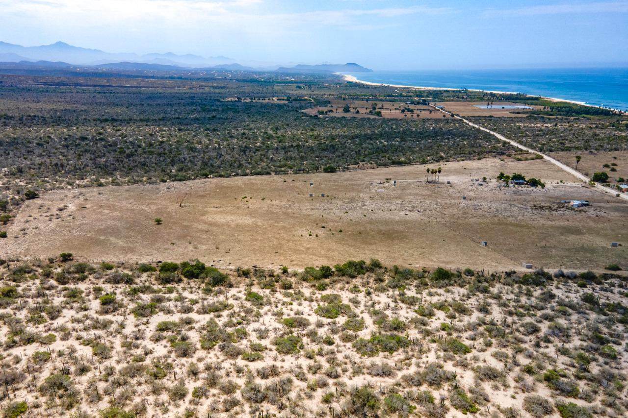 Todos Santos - Photo 1