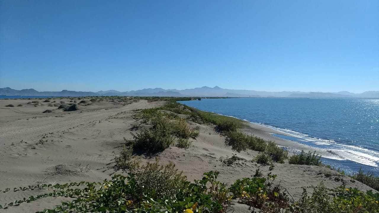 Lot 36 Hwy La Paz-Sn.Juan De La Costa - Photo 1
