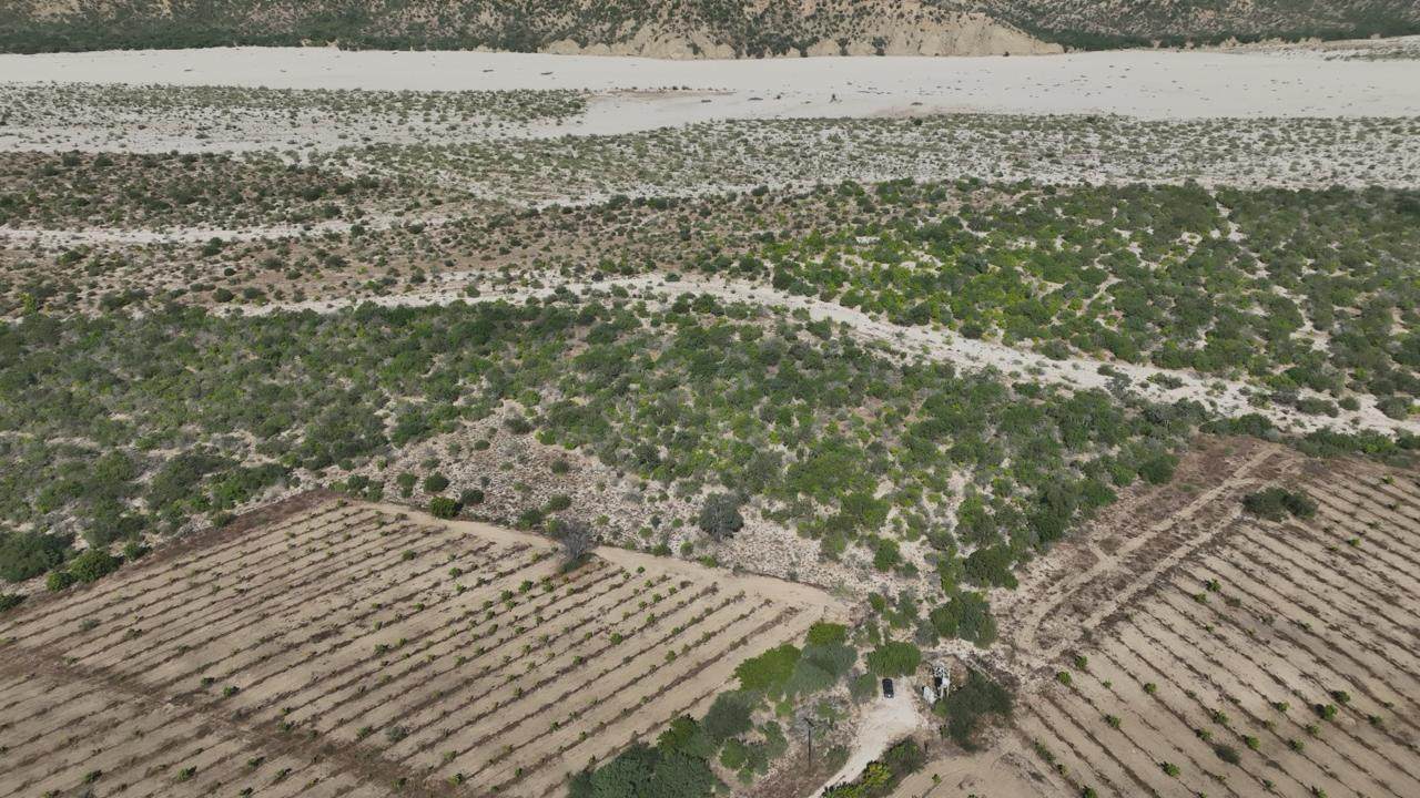  Fracc A Parcela 1Z 0 P1/1 - Photo 1