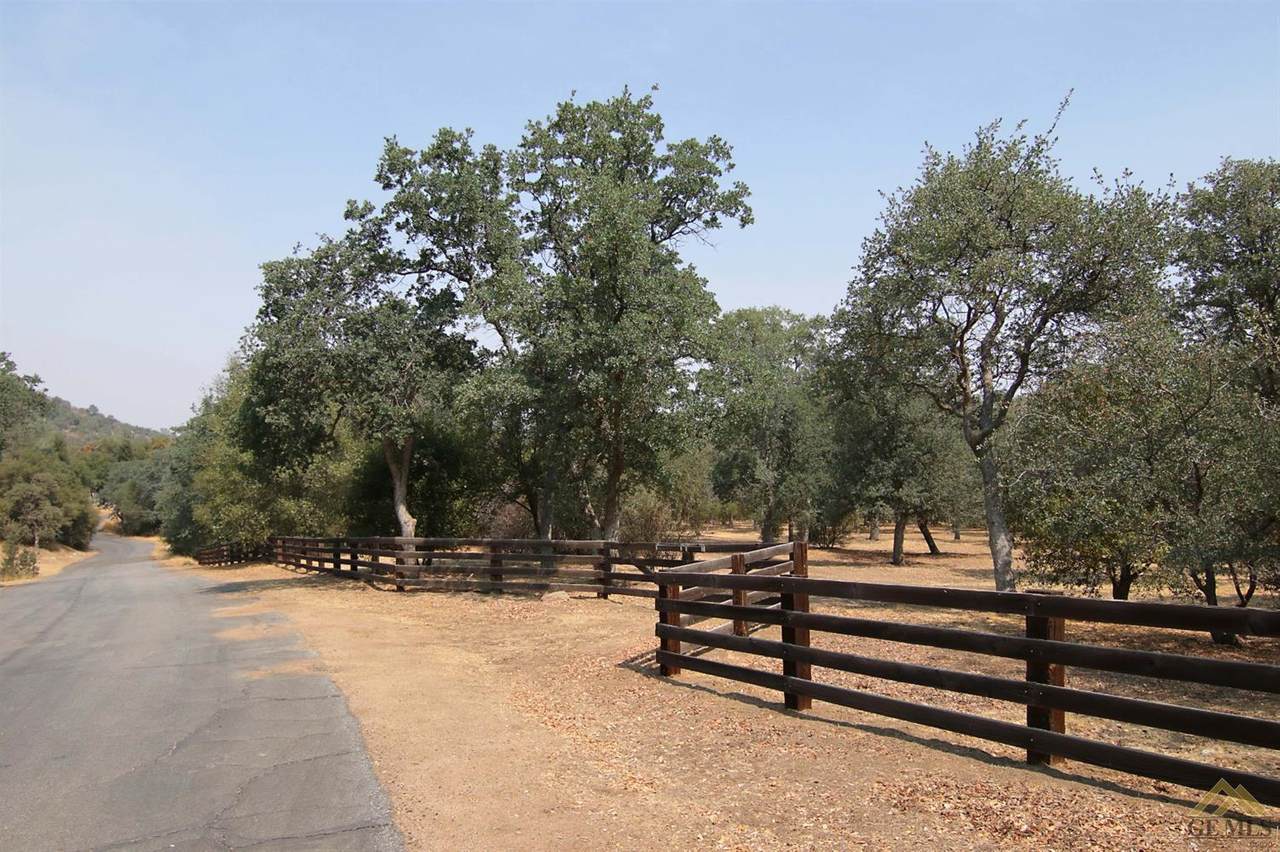 0 Holly Oak Drive - Photo 1