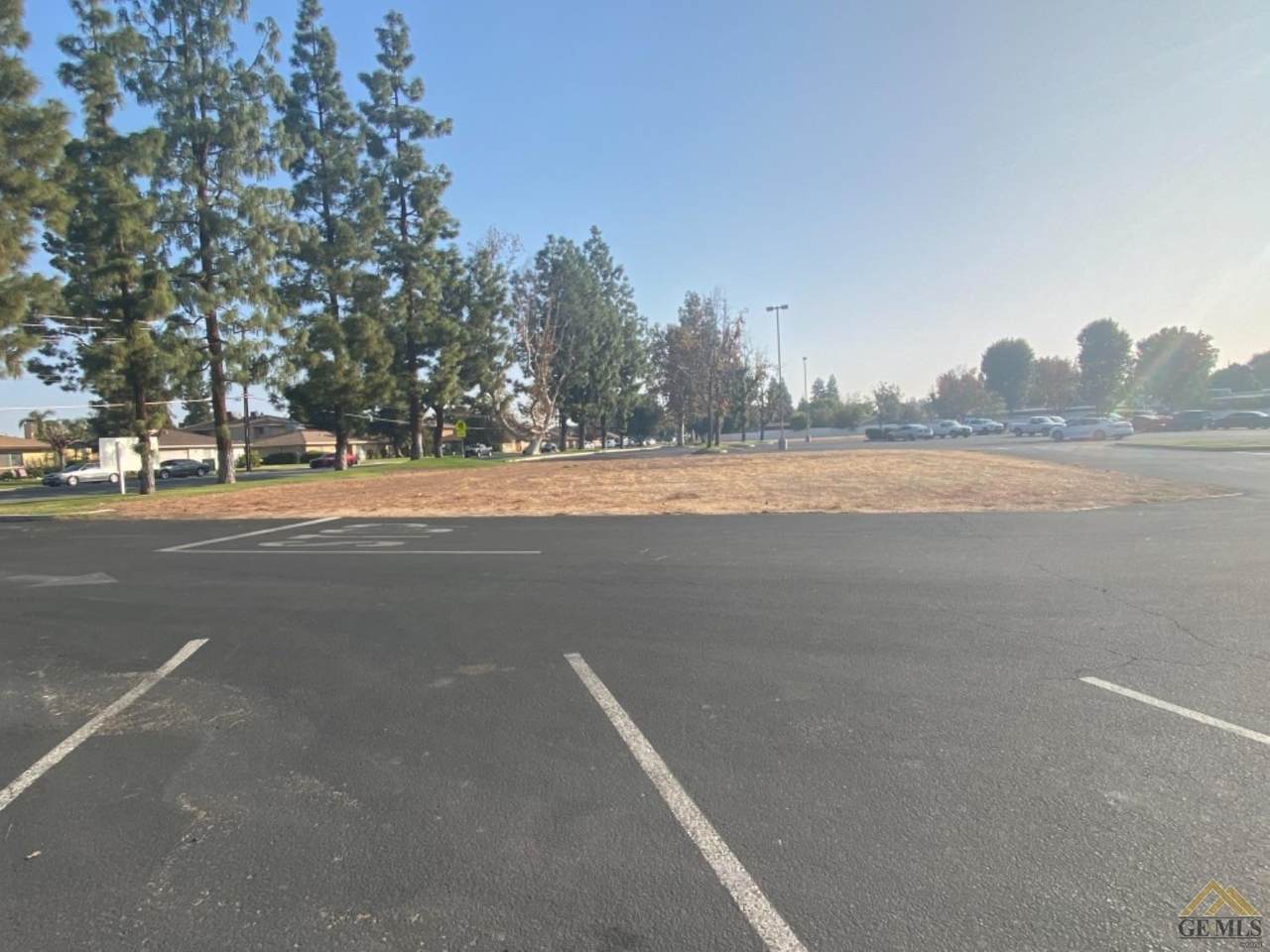 4751 Planz Road - Photo 1