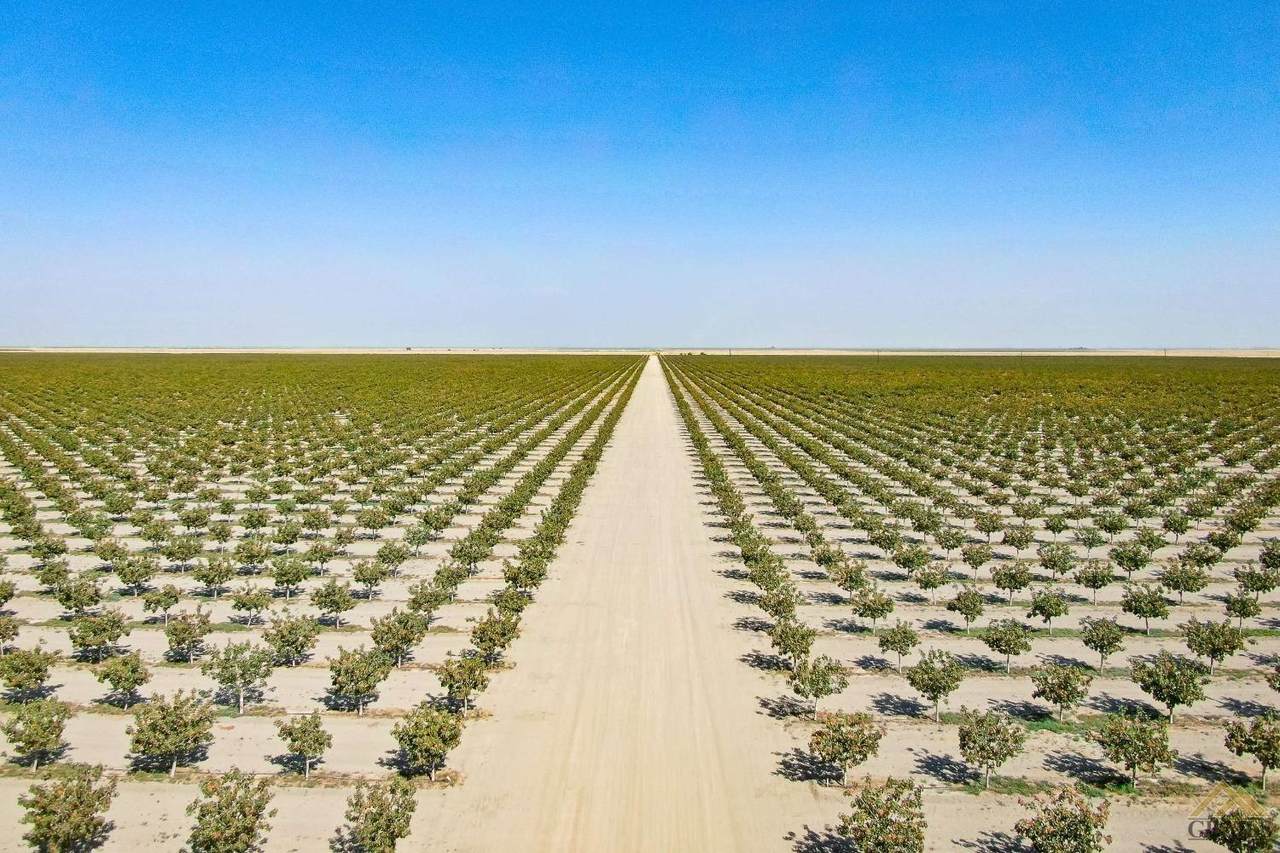 0 Road 40 - Photo 1