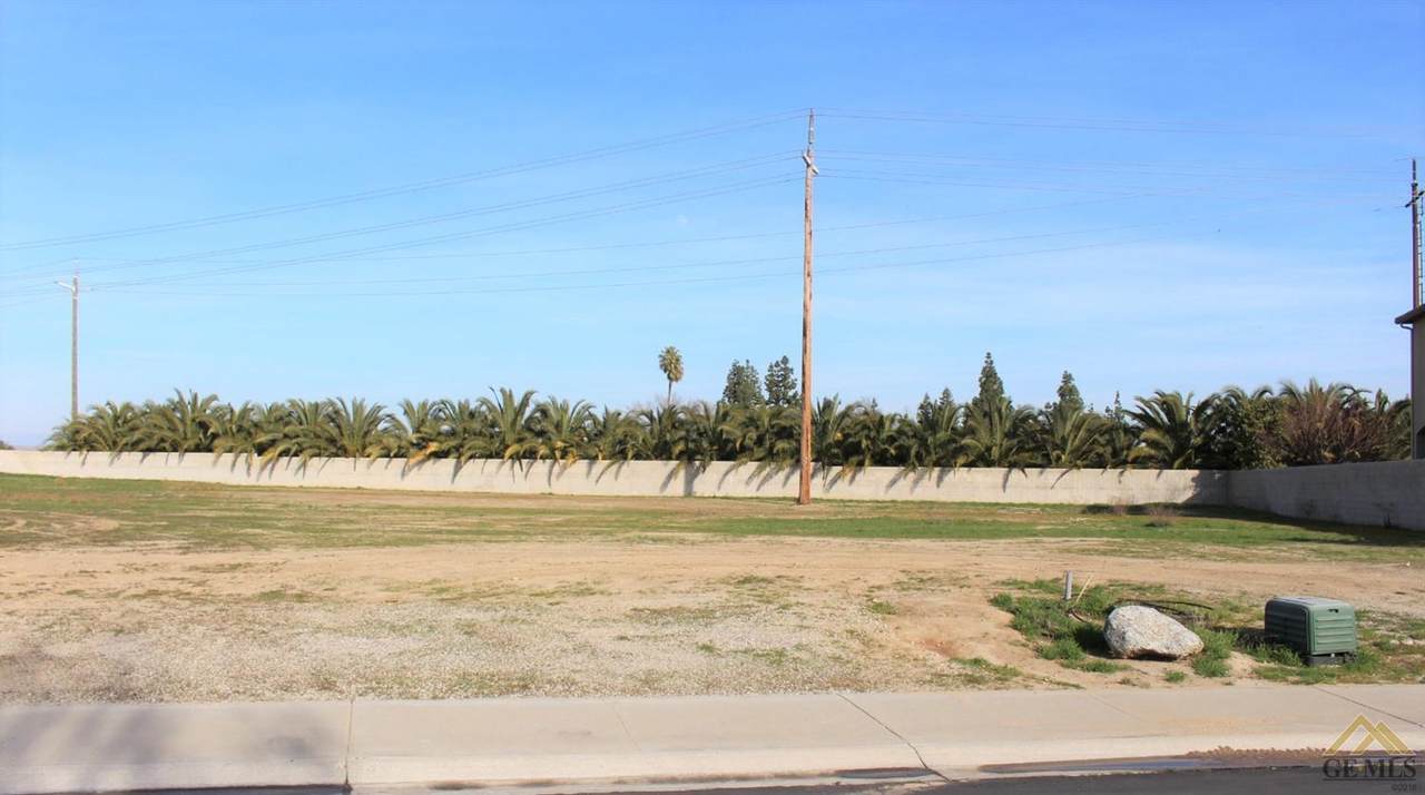 0 Iron Oak Drive - Photo 1