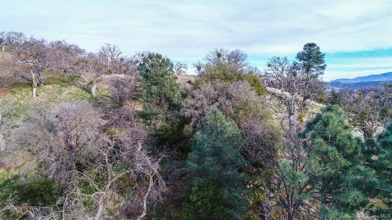 30310 Rolling Oak Drive - Photo 1