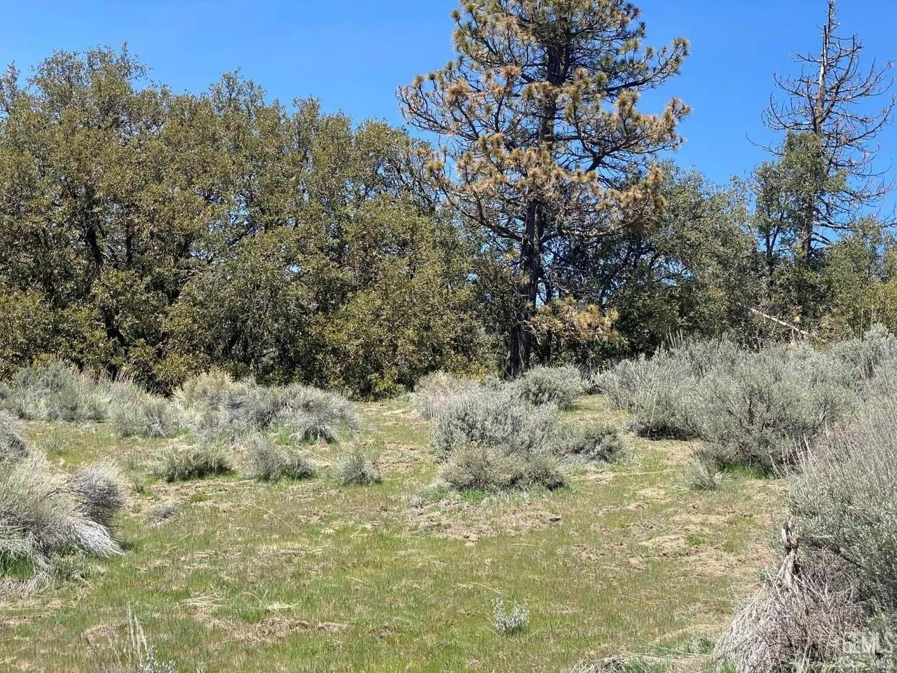 25301 Paramount Drive - Photo 1