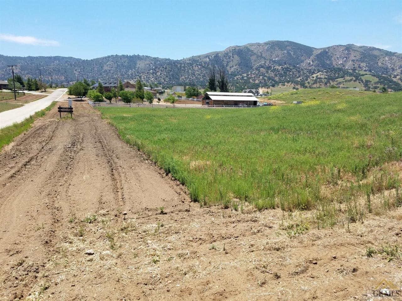 0 Woodford Tehachapi Road - Photo 1