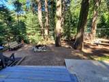 10817 Pine Drive - Photo 4