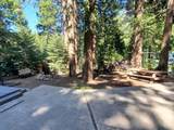 10817 Pine Drive - Photo 5