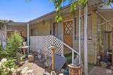 42 Bristlecone Drive - Photo 1